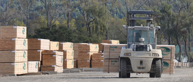 Geothermal key to business sustainability for Kawerau, NZ-based lumber firm