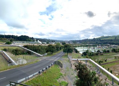 Contact Energy/ NZ geothermal industry celebrating 60 years of Wairakei