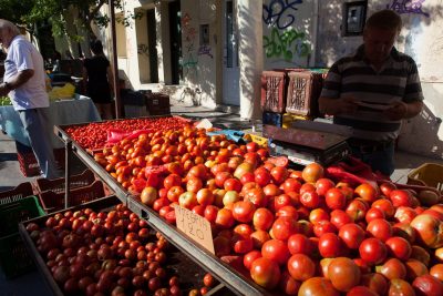 The utilisation of geothermal energy in the agricultural sector of Greece