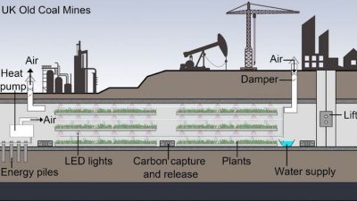 Baseload Capital and ThinkGeoEnergy announce partnership on geothermal news sharing