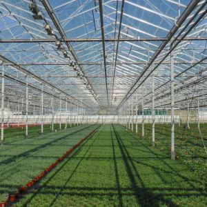 https://www.thinkgeoenergy.com/wp-content/uploads/2018/12/Westland_greenhouse_Wateringen_Netherlands-300x300.jpg