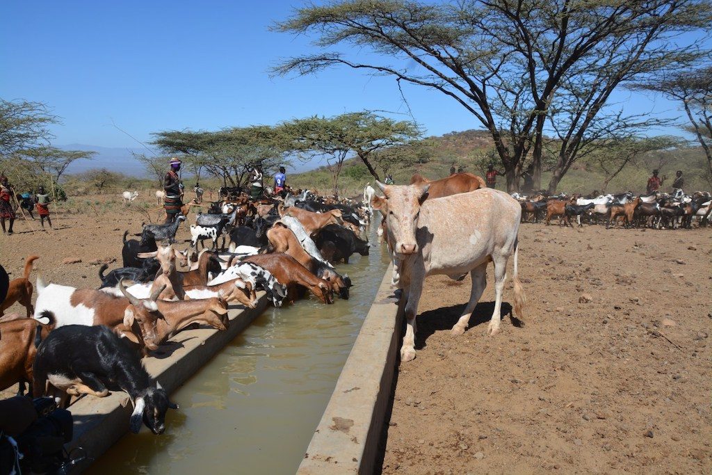 GDC supporting local communities near geothermal project development in Kenya