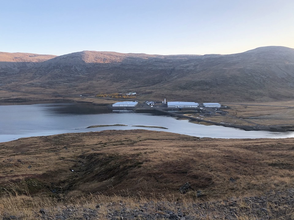 Geothermal heat key element of new aquaculture facilities in the West Fjords of Iceland