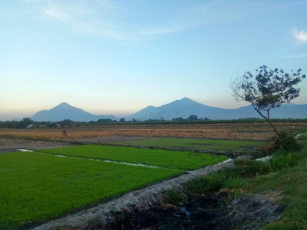 Arjuno-Welirang and Penanggungan, East Java, Indonesia (source: flickr/ consigliereivan, creative commons)