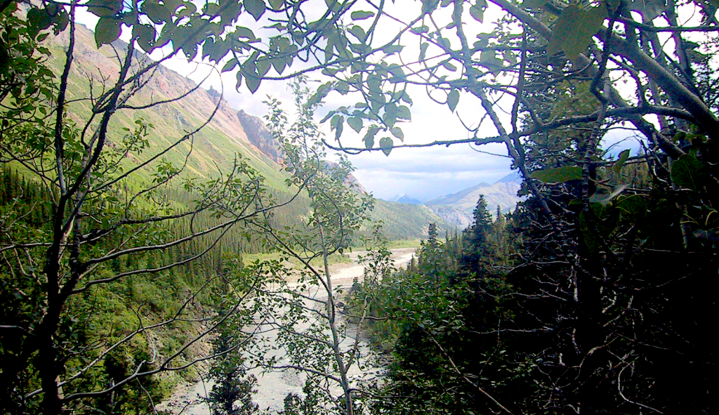 Results of early-stage exploration for geothermal near Duke River, Yukon, Canada