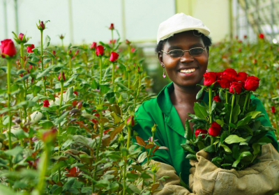 Greenhouse in Olkaria