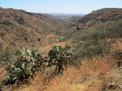 Geothermal an energy option for Colluli mining project in Eritrea