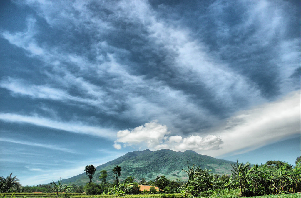 PLN Indonesia to set benchmark for Tanzania geothermal development