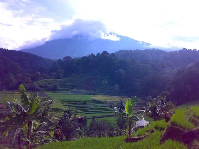 Four geothermal areas ready for development in West Java