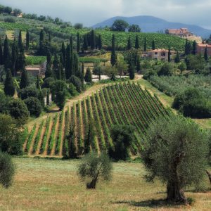 https://www.thinkgeoenergy.com/wp-content/uploads/2021/08/Montalcino_Tuscany_Italy-300x300.jpg