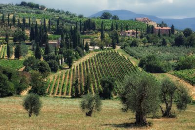 Perfume project combines the best of Tuscany – geothermal and wine