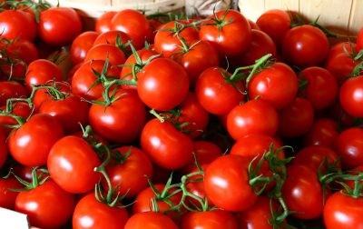 Great demand for geothermal greenhouse tomatoes from Turkey