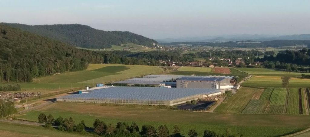 Swiss greenhouse farmer receives long-term concession for geothermal project