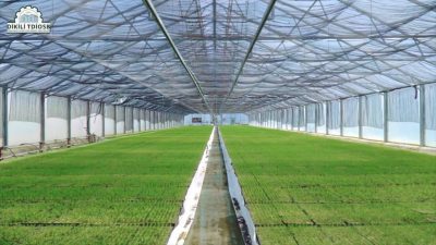 Grant awarded for geothermal greenhouse installation in Eskisehir, Turkiye