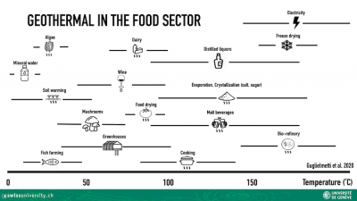 Geothermal in the food sector