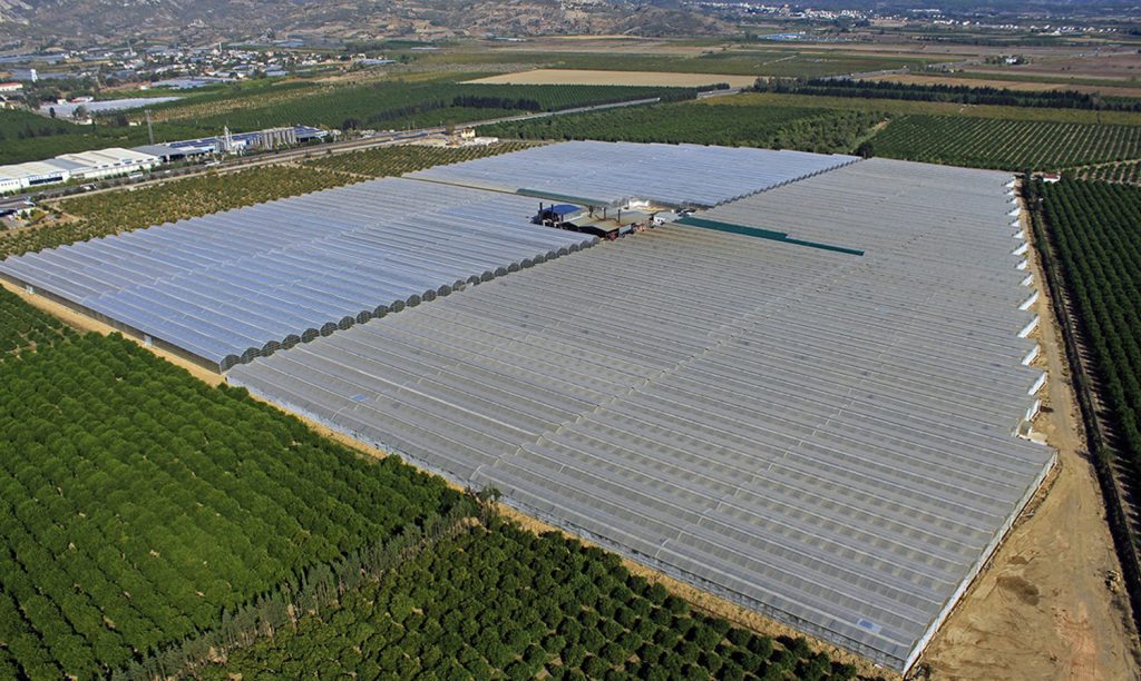 Geothermally heated Greenhouse Excellence Center established in Sakarya, Turkiye