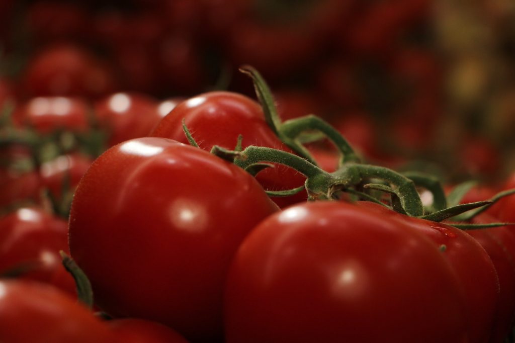 Turkiye’s cheapest tomato is produced with geothermal energy