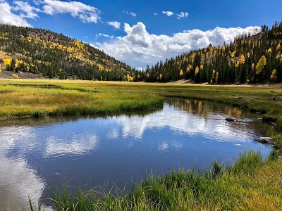 Artificial lift technology helps unlock the full potential of geothermal water extraction