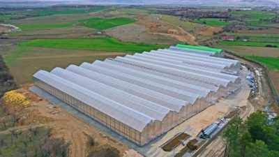 First phase of Elazig, Türkiye geothermal greenhouse completed