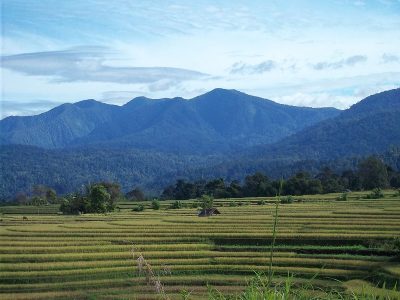 Road construction set to commence for geothermal project in Bengkulu, Indonesia
