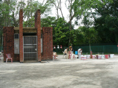 Research shows geothermal potential at site near Singapore hot spring