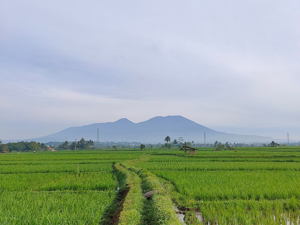 PT DMGP prepares for exploration drilling in Cipanas geothermal area, Indonesia