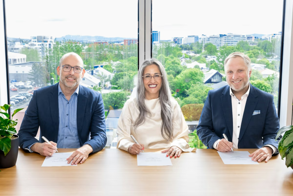 Silica-based supplements to be produced from Theistareykir geothermal power plant, Iceland