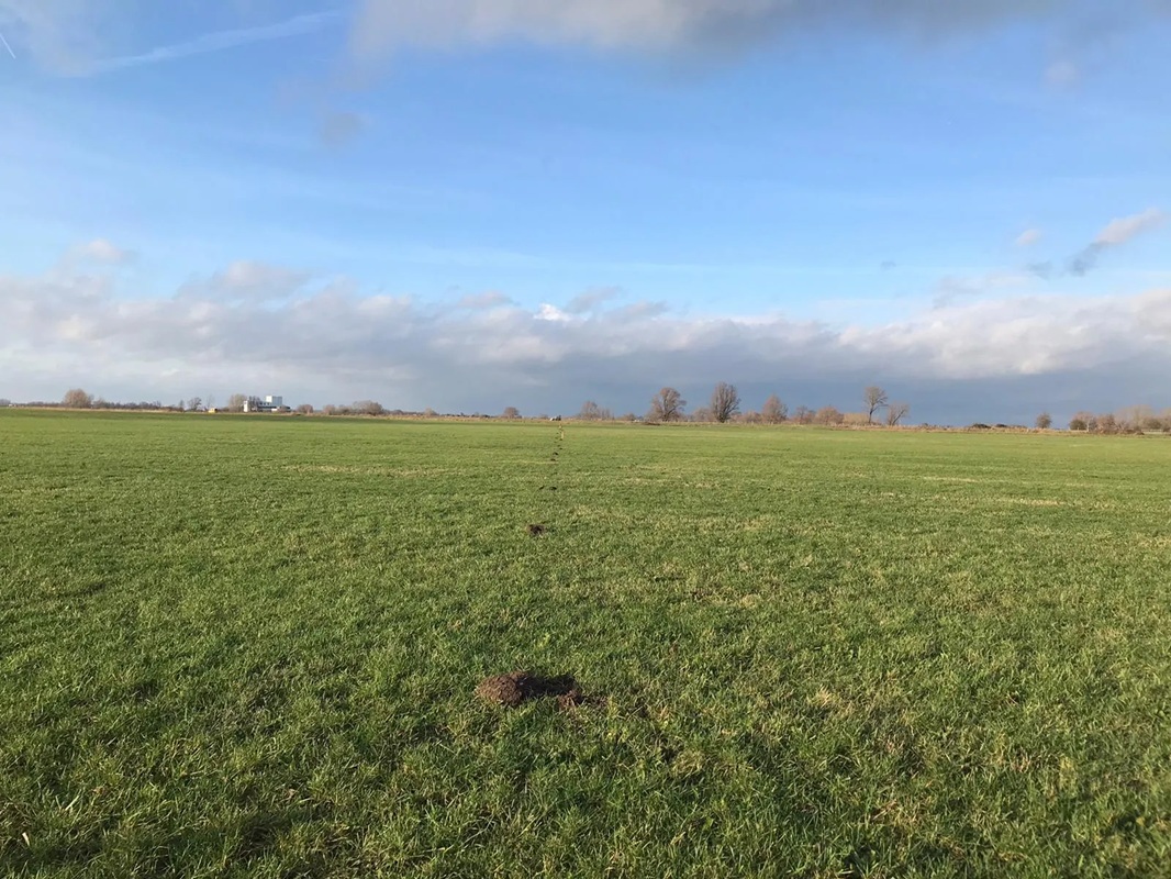 Seismic studies being considered for further geothermal exploration in Utrecht, Netherlands