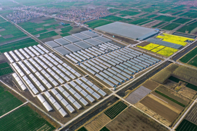 Greenhouse in Qingyun, China saves on costs and improves harvest with geothermal heating