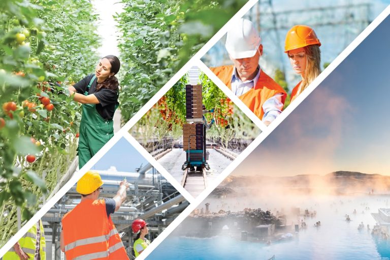El sector geotérmico tiene un gran potencial no sólo en la generación de electricidad sino también en aplicaciones directas como los invernaderos geotérmicos y el turismo termal.