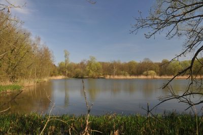 Tender – Geophysical investigations for geothermal exploration in Brabant Massif, Belgium