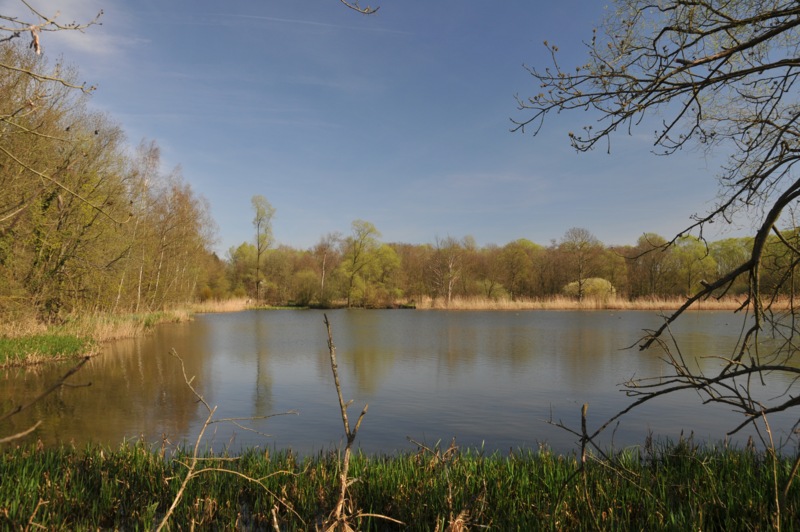 Tender – Geophysical investigations for geothermal exploration in Brabant Massif, Belgium