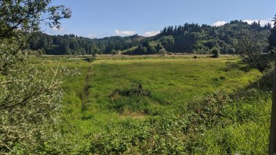 Hexagon Energy enters agreement for geothermal development across Oregon and Washington